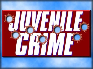 Essex County Juvenile Lawyers