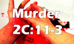 Essex County Homicide Lawyer NJ Murder Attorney