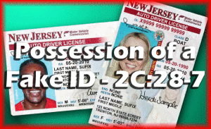 Fake ID Possession in Millburn NJ