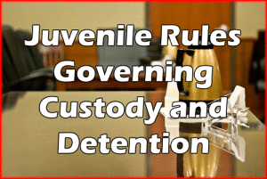 Livingston Juvenile Custody Lawyers