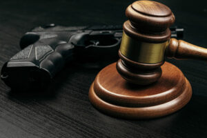 Warren Gun Extreme Risk Protective Orders Lawyers 